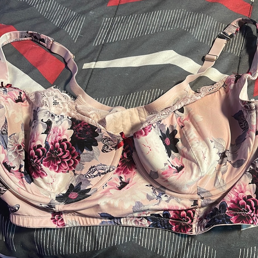 46D Lane Bryant Bra